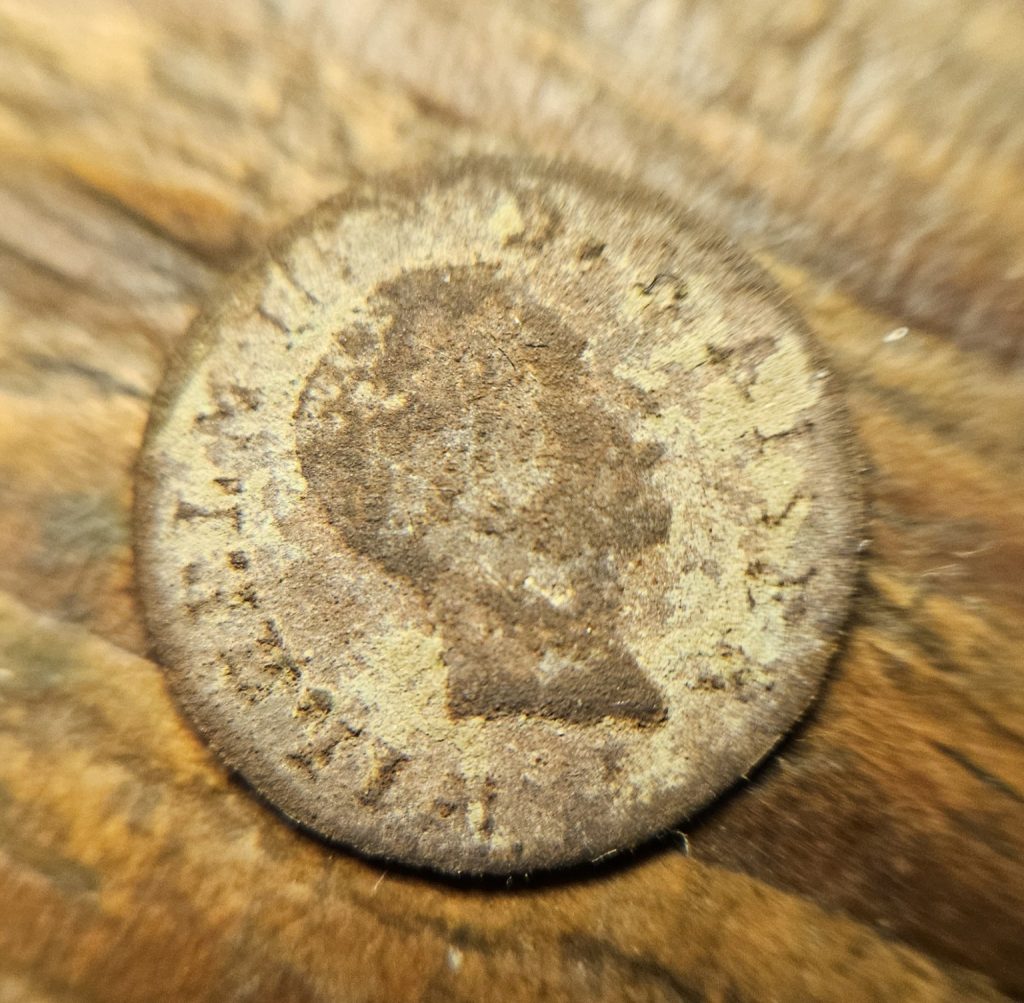 Spielmarke, Wilhelm Spielmarke, Sondelfund, Jeton Kaiserreich, Spielgeld 19. Jahrhundert, kleinste Münze, Metalldetektor Fund