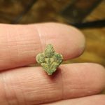 Bronzebeschlag mit Lilienmotiv – Sondelfund