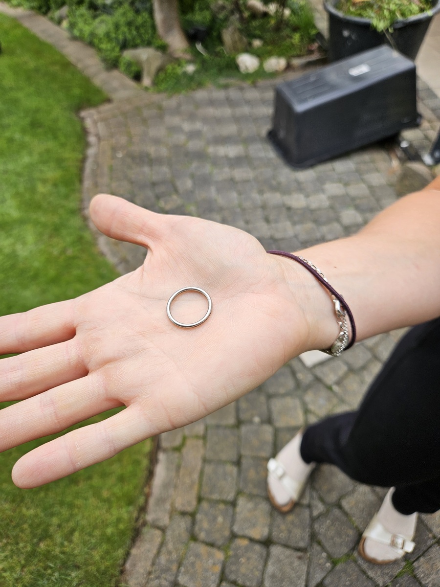 Platinring bei Gartenarbeit verloren und wiedergefunden