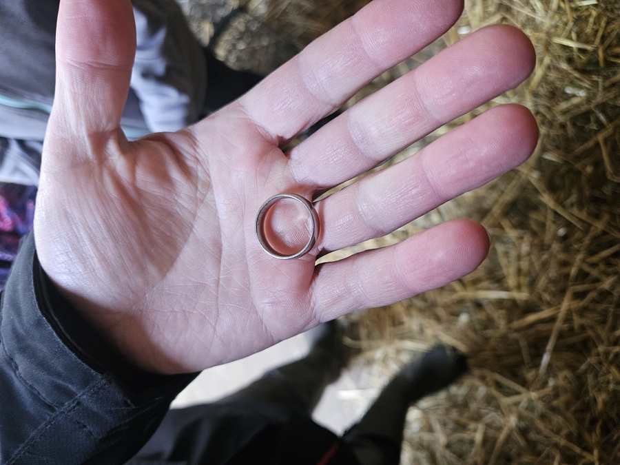 Goldring in Pferdebox verloren und wiedergefunden